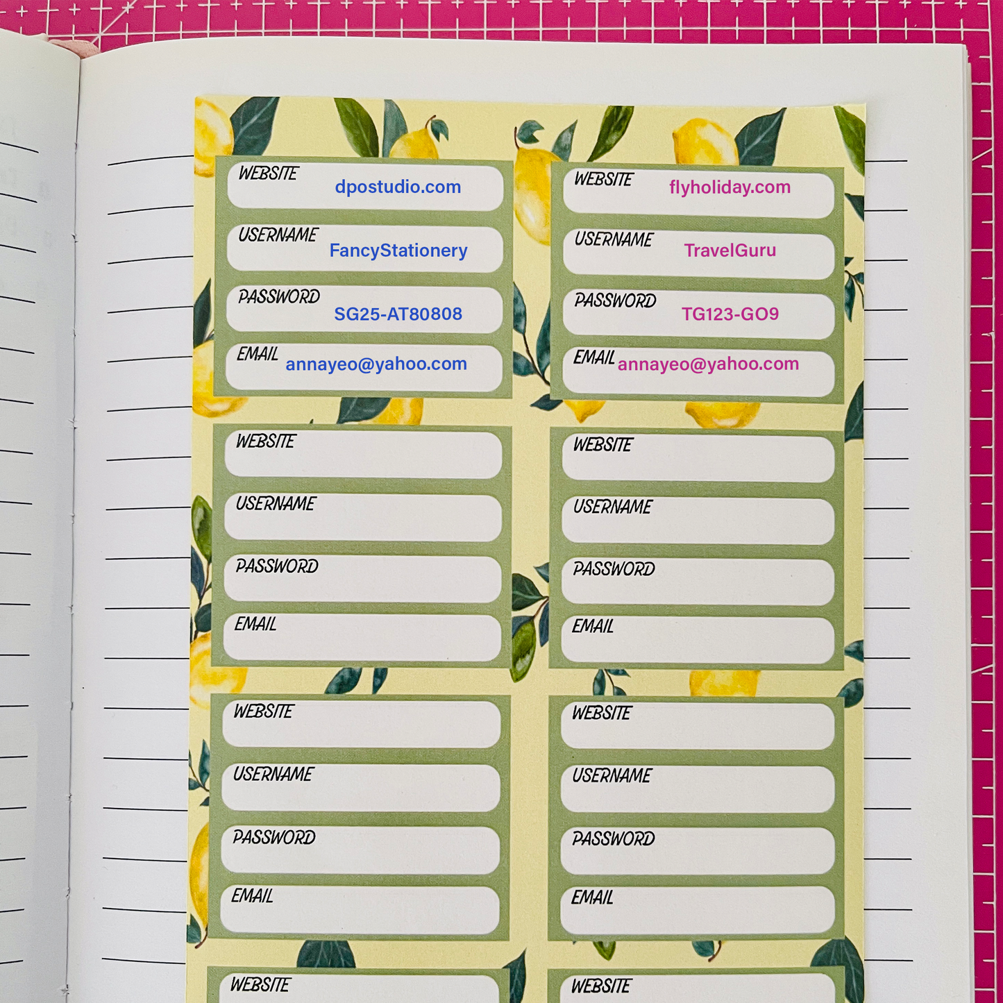 Sticker - Passwords Record Page Patch for Journals & Planners