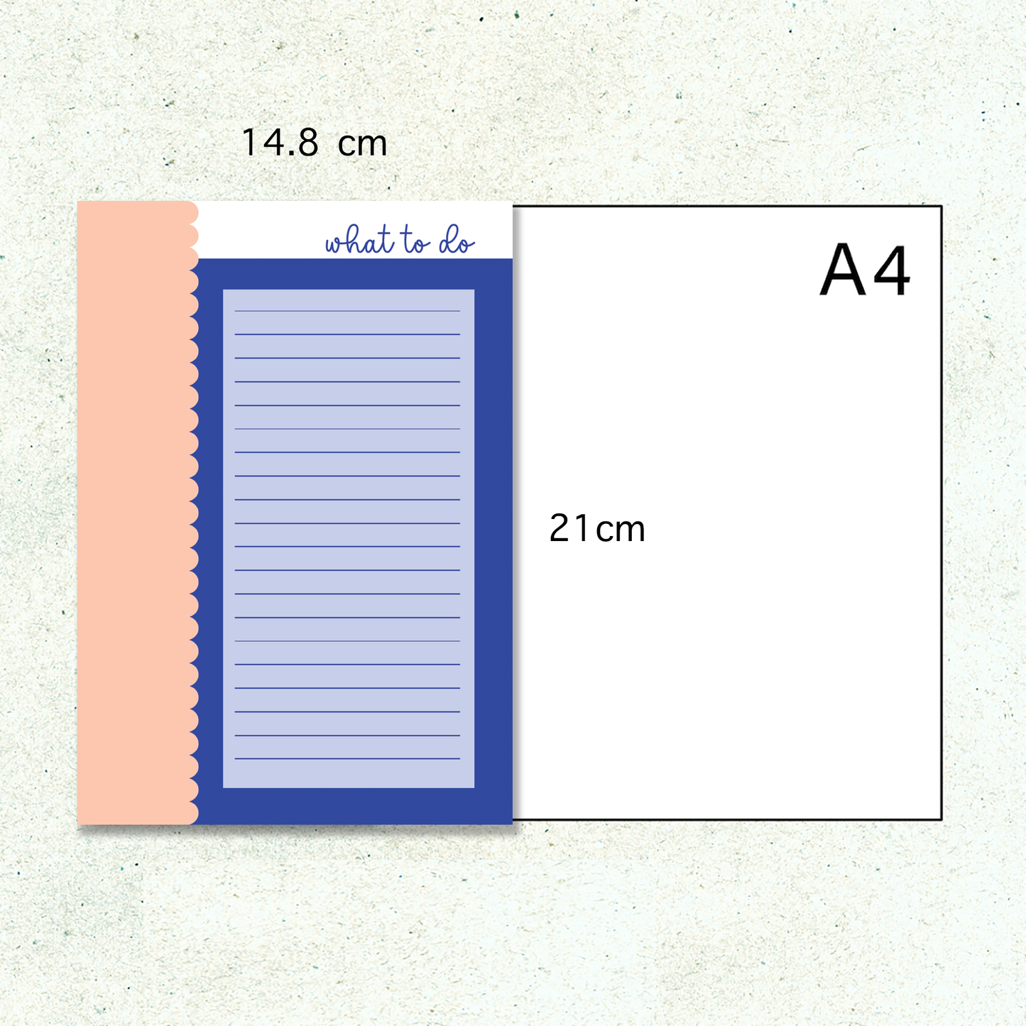 Notepad A5 Size | Scallop